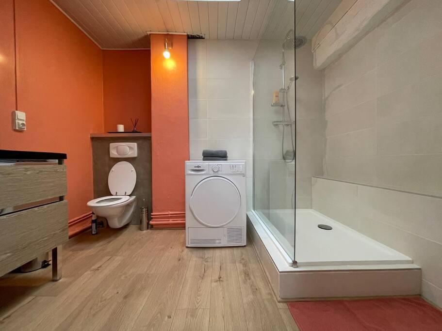 L'Appartement Marceau - 55M2 - Carcassonne Centre Dış mekan fotoğraf