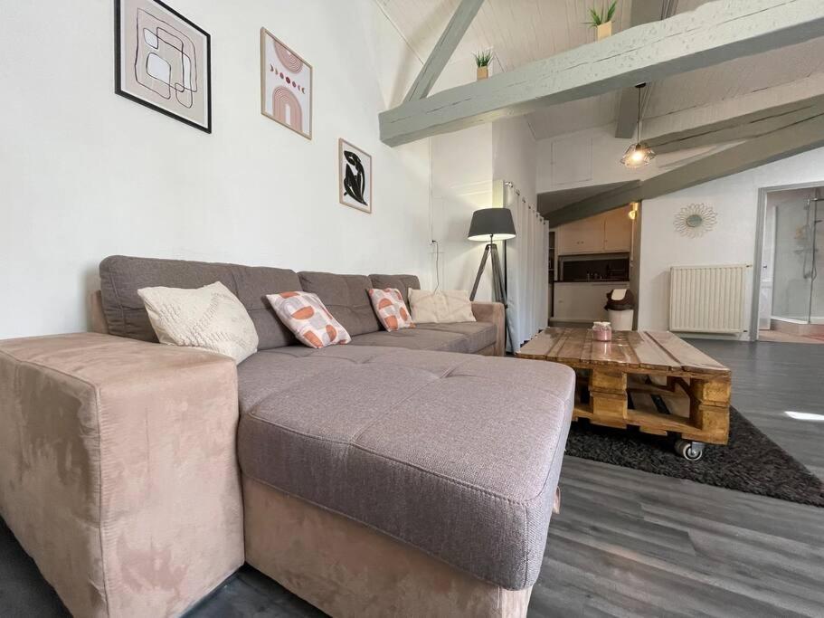 L'Appartement Marceau - 55M2 - Carcassonne Centre Dış mekan fotoğraf